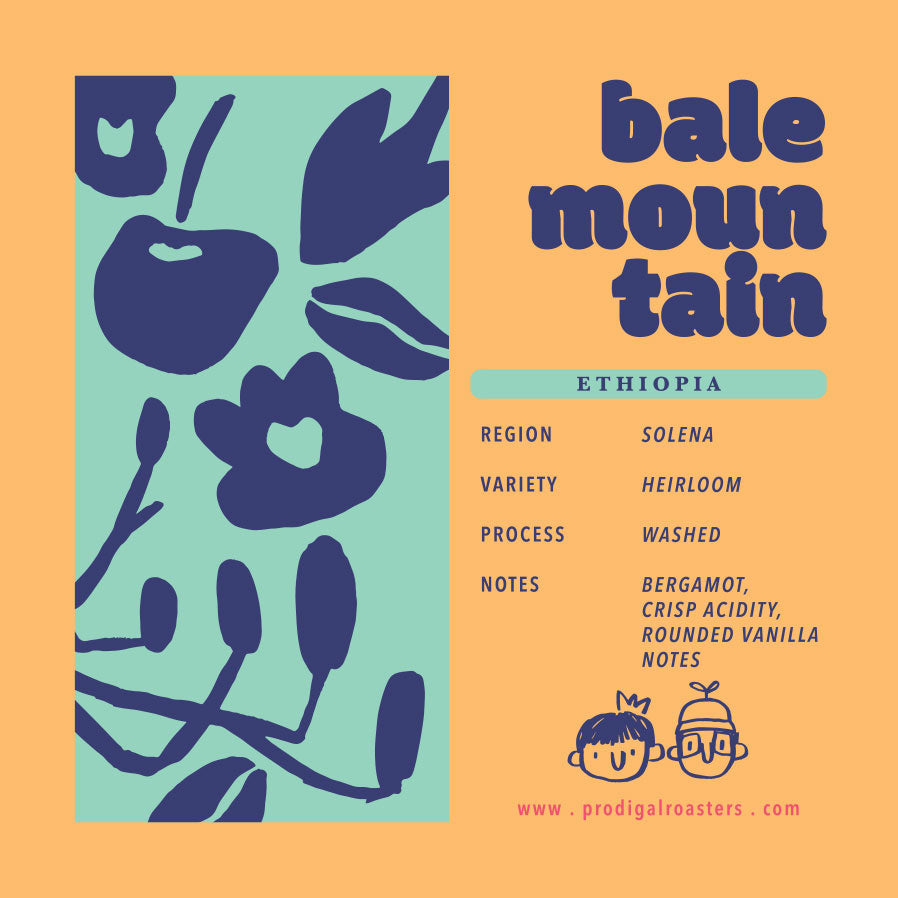 Drip Bag - Ethiopia Bale Mountain