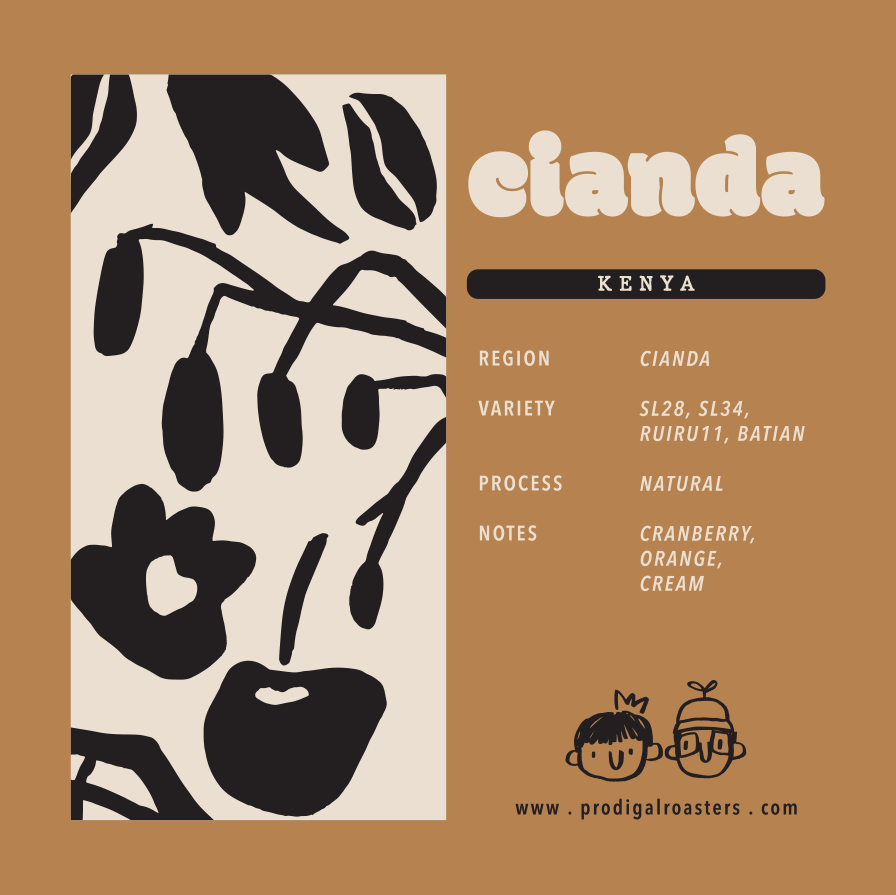 Drip Bag - Kenya Cianda