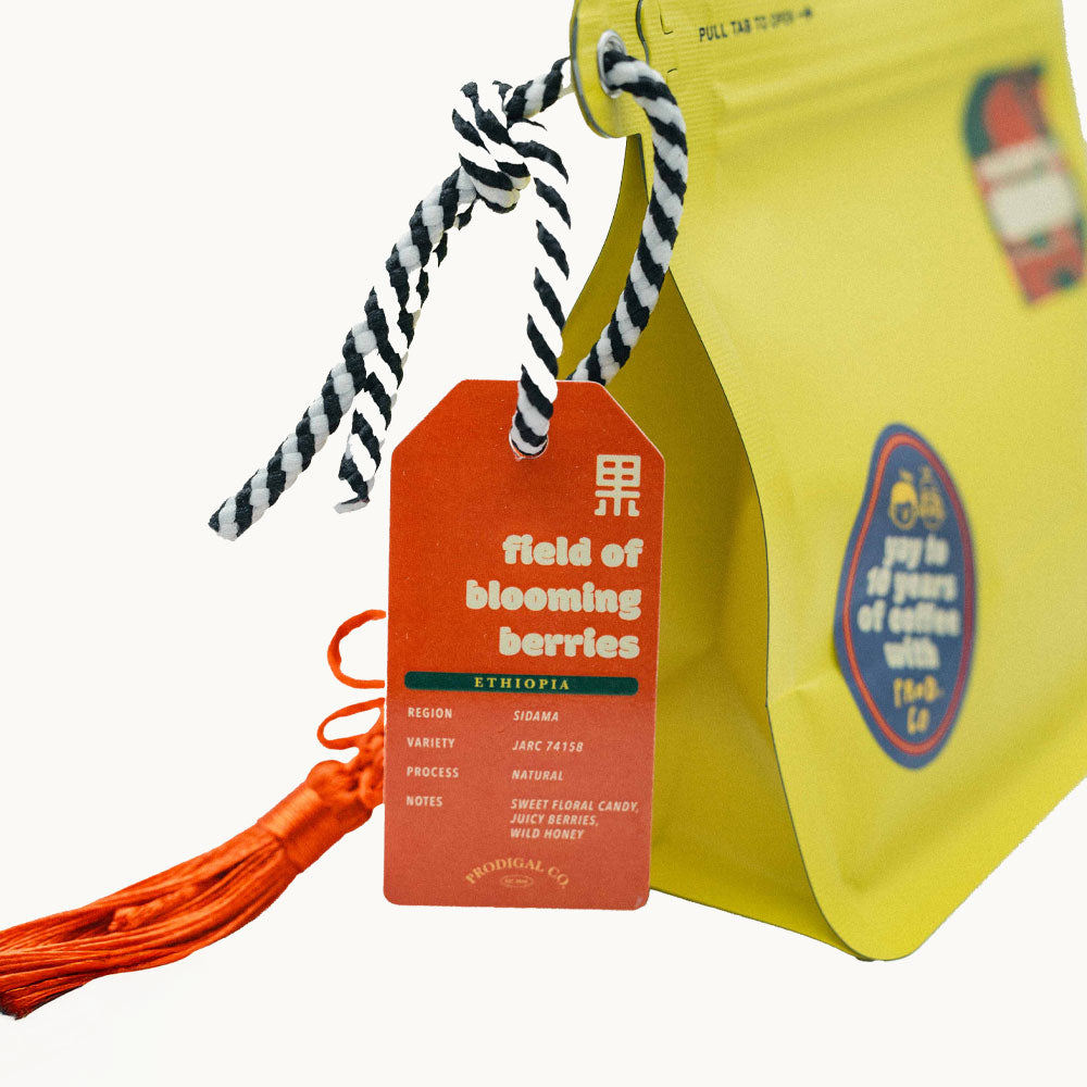 果 (gǔo) field of blooming berries