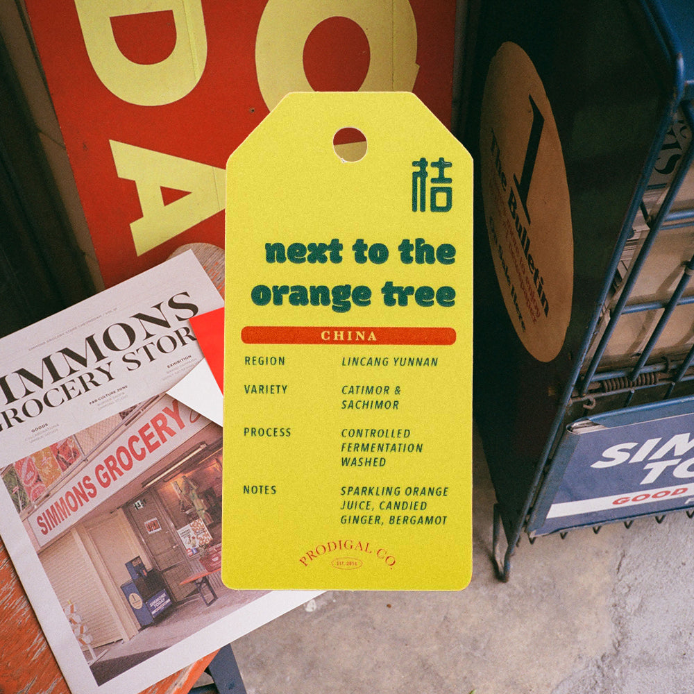 Lunar New Year Pack of 2