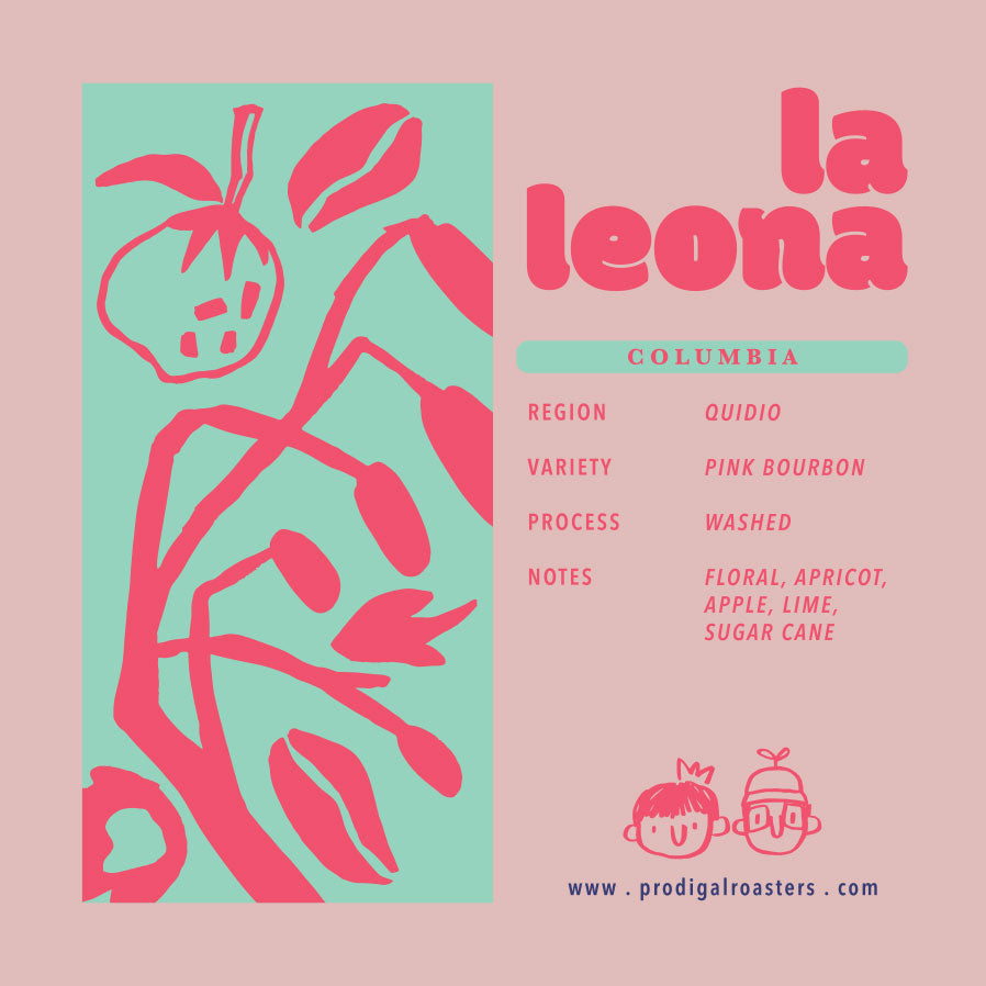 Drip Bag - Colombia La Leona