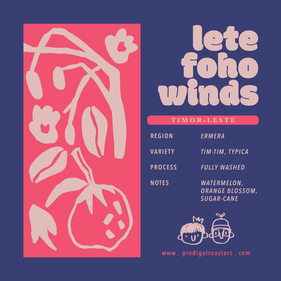 Drip Bag - Timor Leste Letefoho Winds