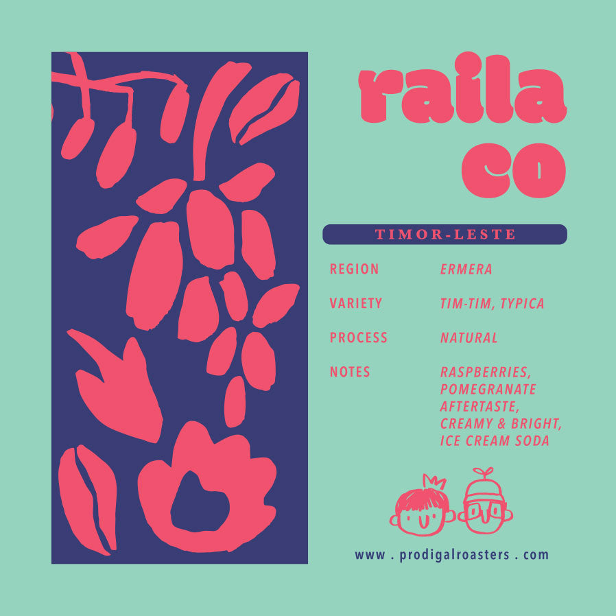 Drip Bag - Timor Leste Natural