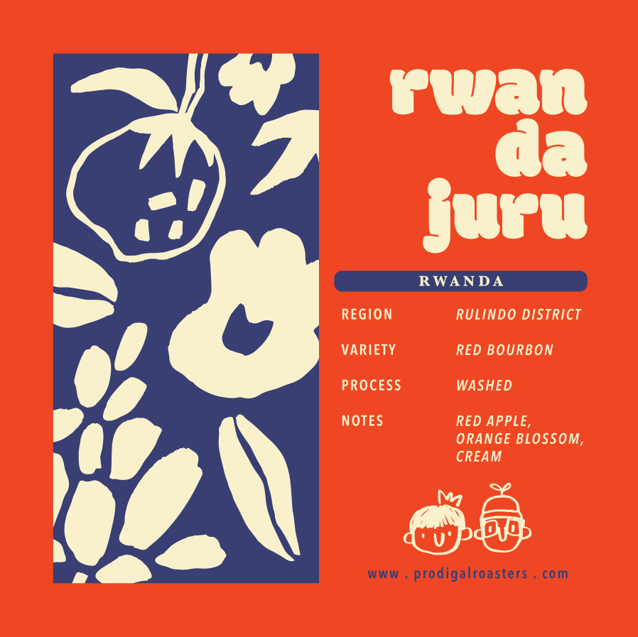 Drip Bag - Rwanda Juru