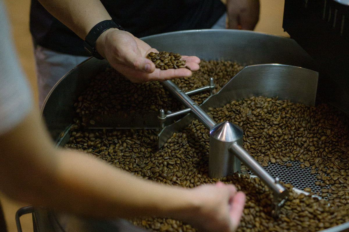Buy Fresh Coffee Beans | Wholesale Suppliers in Singapore