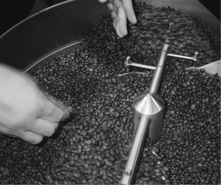 Buy freshly roasted specialty coffee at discounted bulk price
