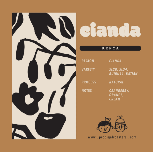 Drip Bag - Kenya Cianda