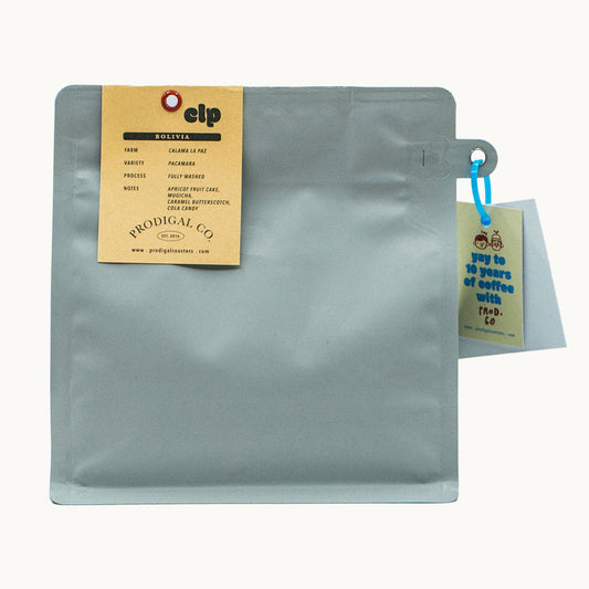 Bolivia CLP Pacamara