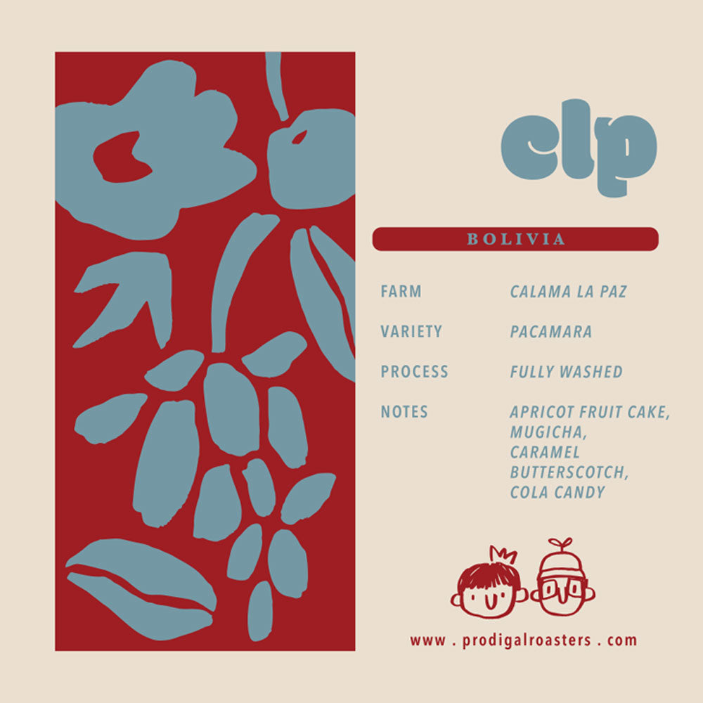 Drip Bag - Bolivia CLP Pacamara