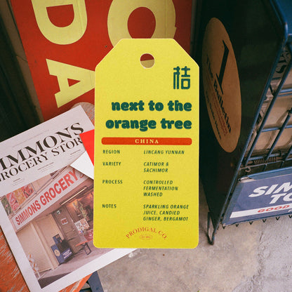 Lunar New Year Pack of 2