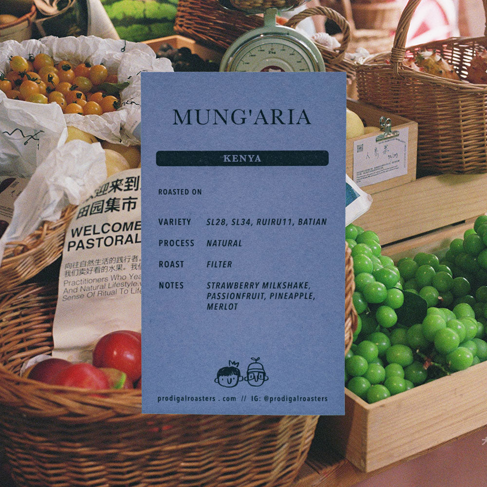 A blue card labeled 'MUNG'ARIA' with roast details for Kenyan coffee, placed in front of baskets of fruit and a scale in a market setting.