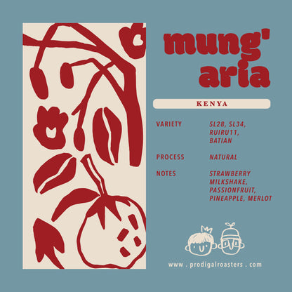 Drip Bag - Kenya Mung'aria