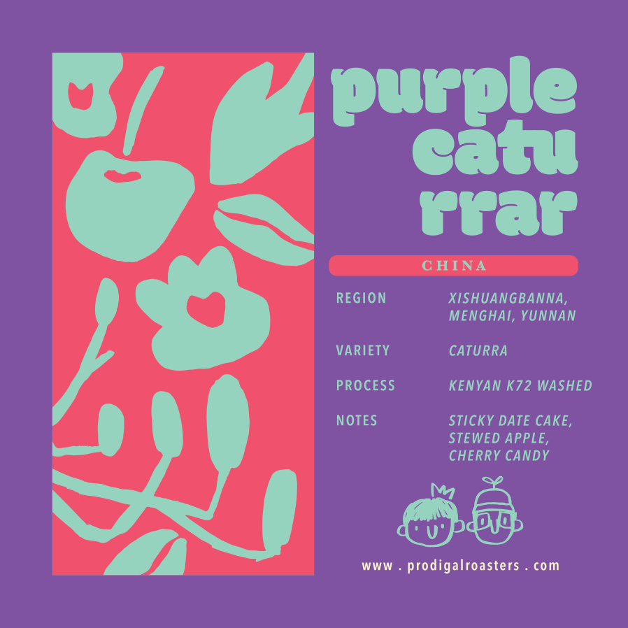Drip Bag - Purple Caturra