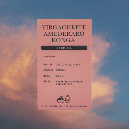 Ethiopia Amederaro Konga